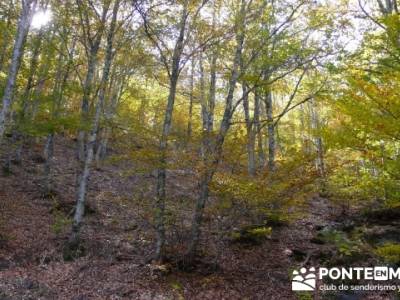 Senderismo,trekking, hiking desde Madrid, Parque Natural del Hayedo de Tejera Negra; mochila de send